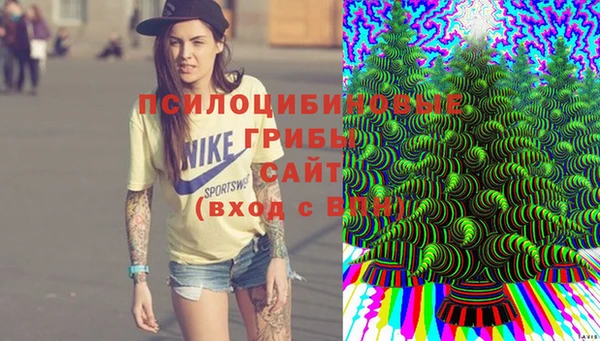 дурь Сясьстрой